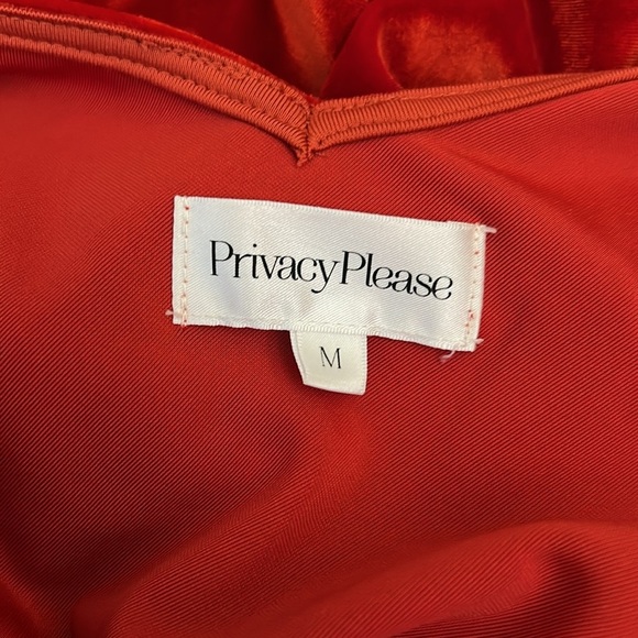 NWT Privacy Please Hampshire Velvet Ruched Sleeveless Midi Dress in Red size M - Picture 12 of 13
